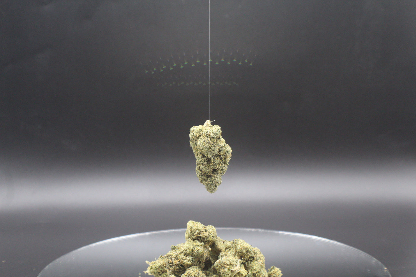 Jet Fuel Runtz T.H.C.a.