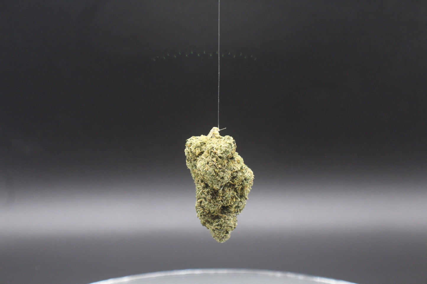 Jet Fuel Runtz T.H.C.a.