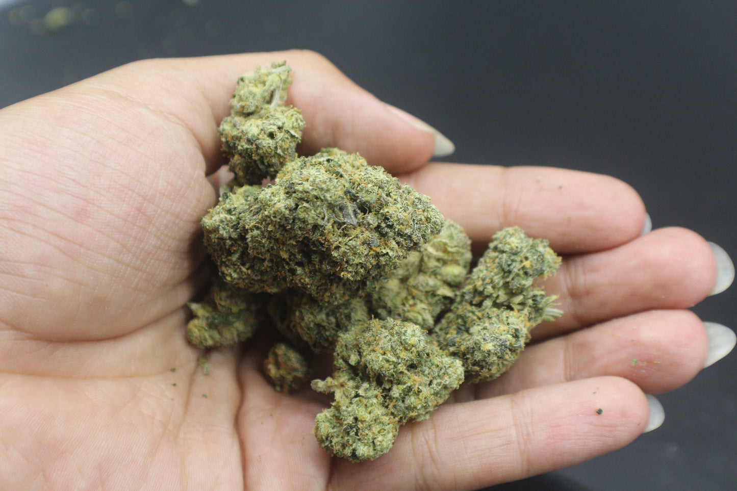 Jet Fuel Runtz T.H.C.a.