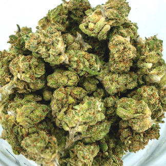 Jet Fuel Runtz T.H.C.a.